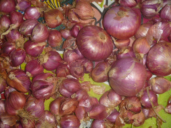 கண்ணீர் வரும் வெங்காயம்
