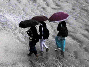 Private forecaster predicts normal monsoon this year Private forecaster predicts normal monsoon this year