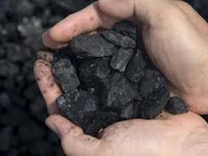 Coalgate scam: What the facts are Coalgate scam: What the facts are