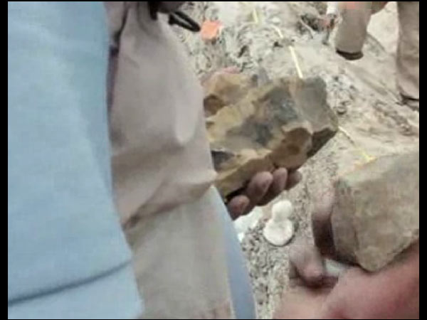 ஆயிரக்கணக்கான பற்கள்