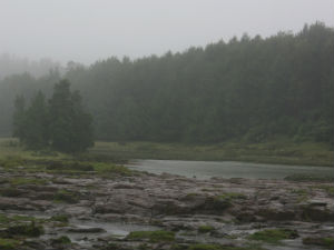 Holiday for schools and colleges in Nilgiris district due to heavy rain Holiday for schools and colleges in Nilgiris district due to heavy rain