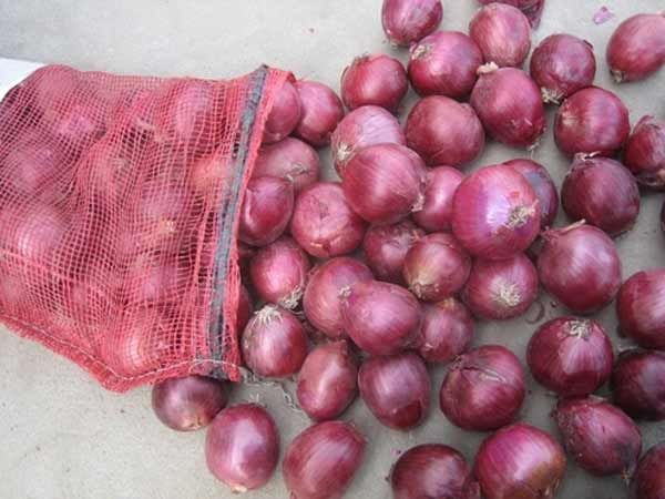 கிலோ 40 ரூபாயா..?