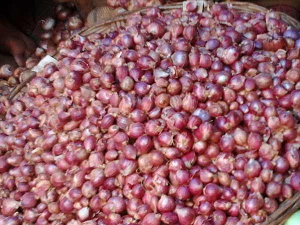 Robbers escape with truck carrying onion, recovered after 2 hours Robbers escape with truck carrying onion, recovered after 2 hours