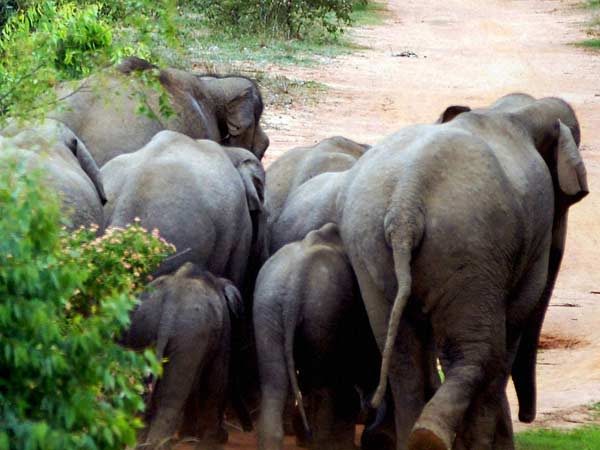 பொதுமக்களுக்கு எச்சரிக்கை