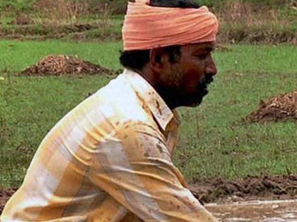 விவசாயிகளிடம் ஆய்வு