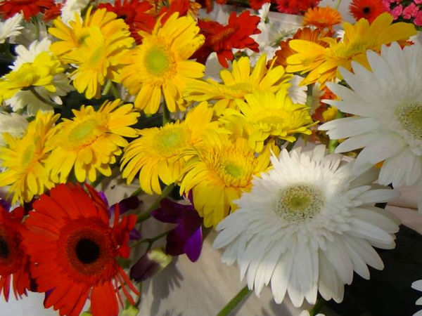 ஓணம் பண்டிகை: தோவாளை சந்தையில் பூக்கள் விற்பனை படுஜோர்
