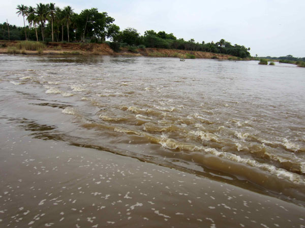 Heavy rain vaigai river flooded Heavy rain vaigai river flooded