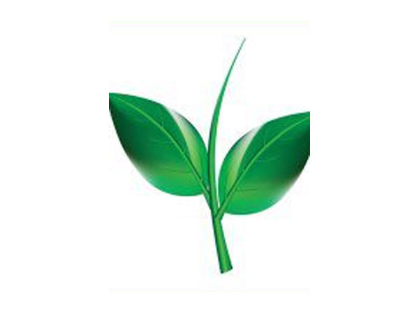 வெற்றி சின்னம் இரட்டை இலை