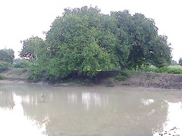 குறைந்த தண்ணீர்