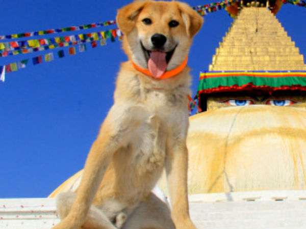 ஊக்குவிப்பு...