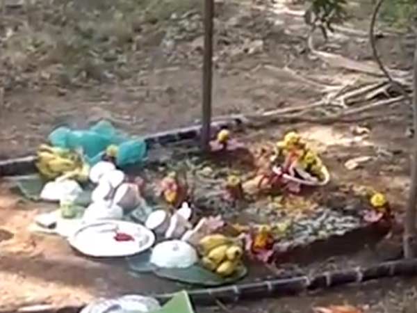 பொங்கல் பொங்கி..