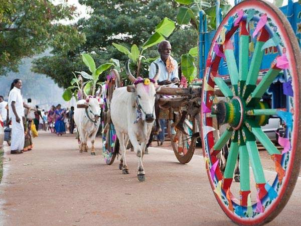 தமிழர் கலை இலக்கியத் திருவிழா