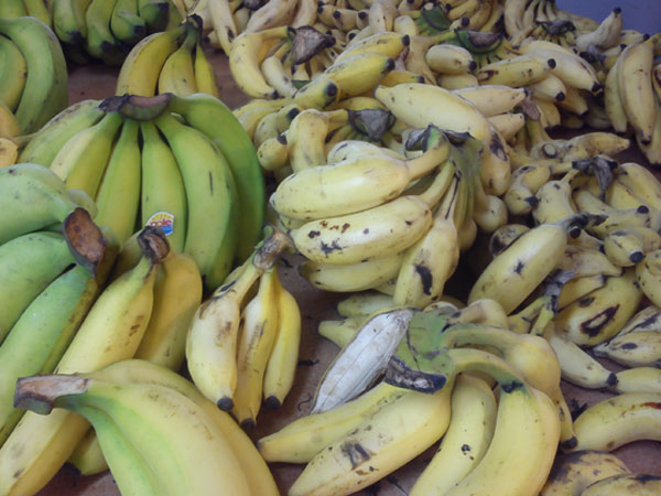 Dip in banana prices worries farmers Dip in banana prices worries farmers