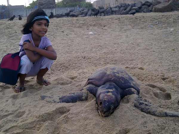 ஜனவரி மாதம் முழுவதும் இறப்புகள்தான்