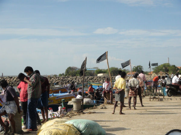 Firm TN Line Forces Sri Lanka to Free Fishermen; Talks off Firm TN Line Forces Sri Lanka to Free Fishermen; Talks off
