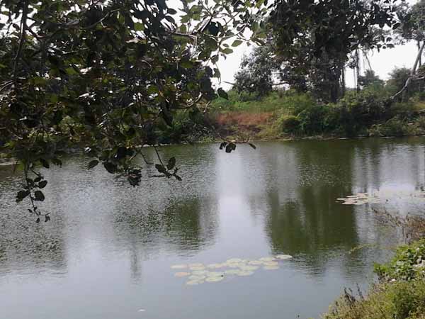 நிலத்தடி நீர்வளம் குறைவு: