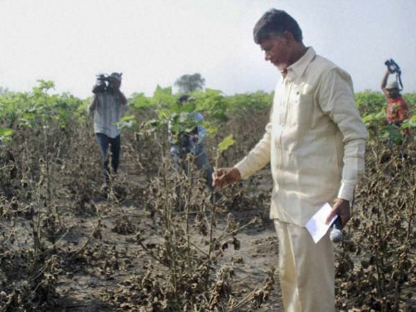 மாநிலக் கட்சிகளும் என்.டி.டி.வி. எக்ஸிட் போல் முடிவுகளும்