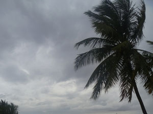Monsoon to reach Andamans by May 17 Monsoon to reach Andamans by May 17