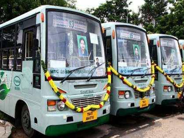 மேலும் 50 பஸ்கள்