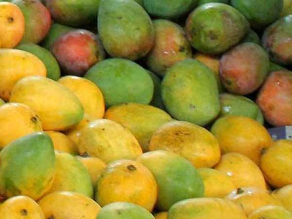 நோய் எதிர்ப்பு சக்தி