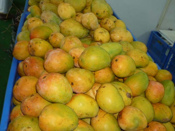 மாதவிடாய் காலத்தில்