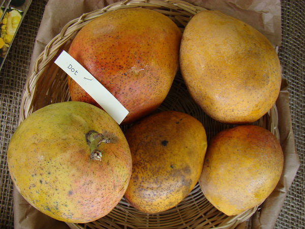 மலச்சிக்கல் நீங்கும்