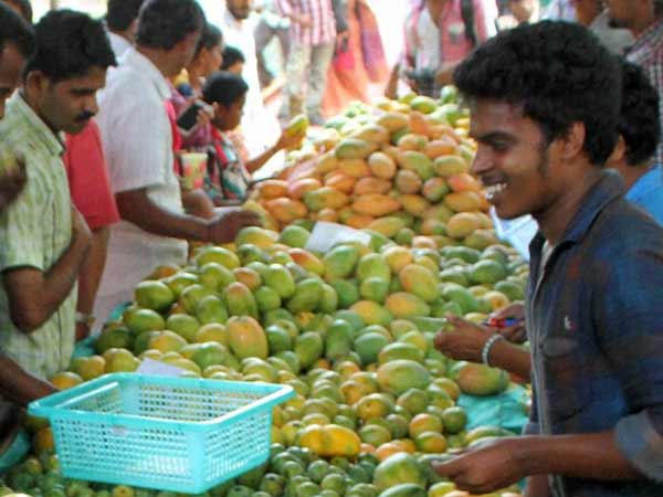 மருந்தாகும் மாம்பழம்