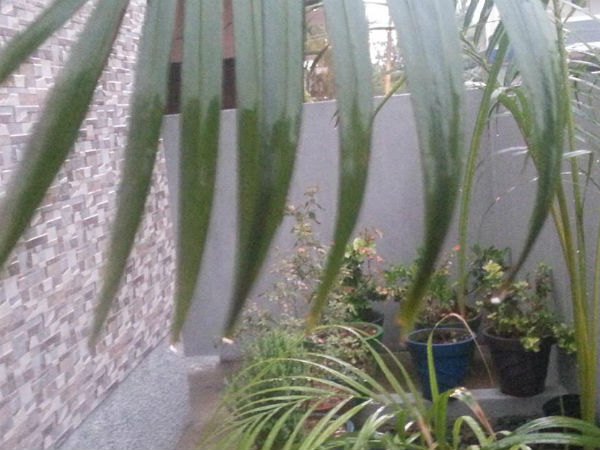 மழை தொடரும்