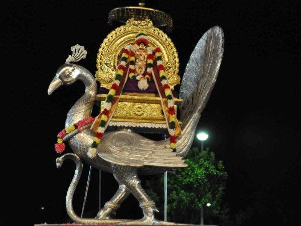 மயில்வாகனத்தில் முருகன்