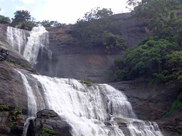 களைகட்டிய சீசன்