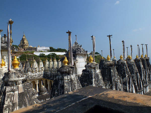 ஆச்சரியமூட்டும் வாழ்க்கை