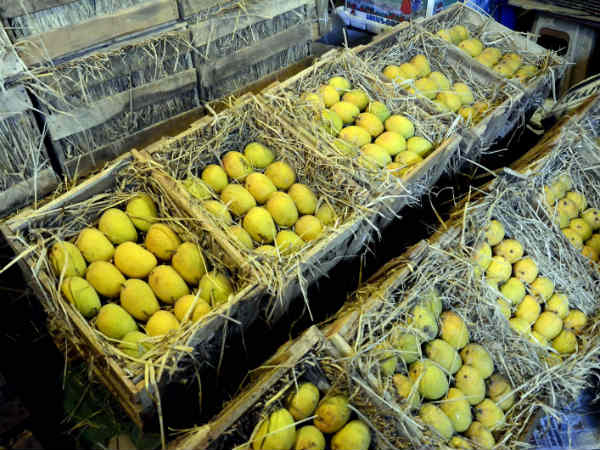 பெரிய்ய மார்க்கெட்.. ஆனால் பழம்தான் இல்லை