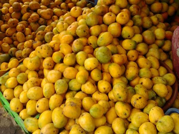 20 டன் மட்டும்தான்