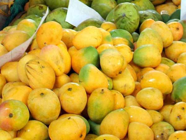 பெல்ட்டிலும் கூட அடிதான்