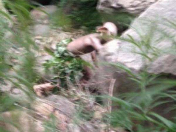 ‘Gollum’ monster spotted in Chinese hills was, er, just me having a pee, says sci-fi actor ‘Gollum’ monster spotted in Chinese hills was, er, just me having a pee, says sci-fi actor