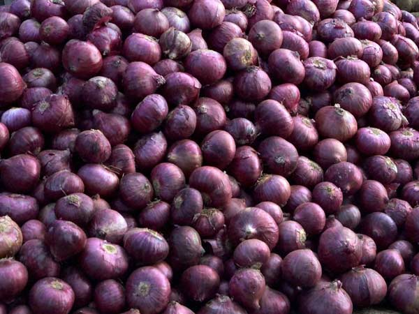 மத்திய அரசு சொல்வது என்ன?