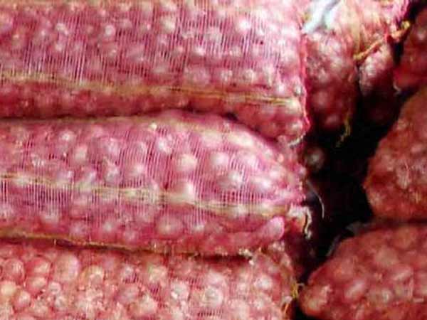 ஏற்றுமதி விலை அதிகரிப்பு