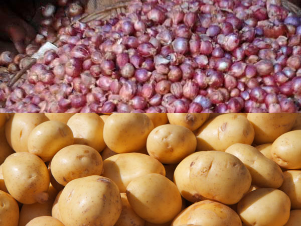 உருளை ஏற்றுமதிக்கு கட்டுப்பாடு