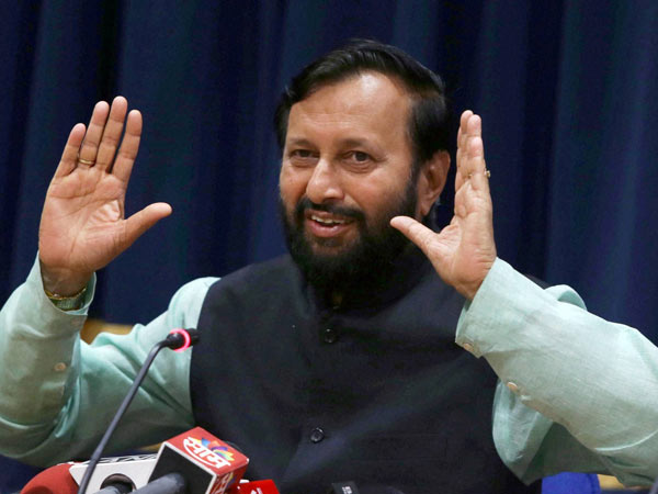 Field trials of 13 genetically modified crops put on hold: Prakash Javadekar Field trials of 13 genetically modified crops put on hold: Prakash Javadekar