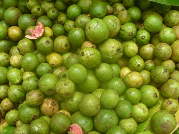 குவியும் பழங்கள்