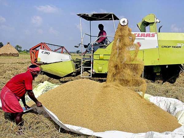 நெல்லுக்கு செலவு அதிகரிப்பு