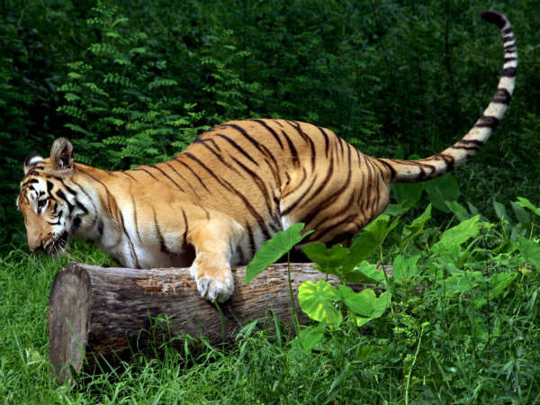 விரைவில் குணம்: