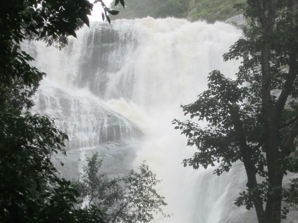 குற்றாலத்தில் வெள்ளம்