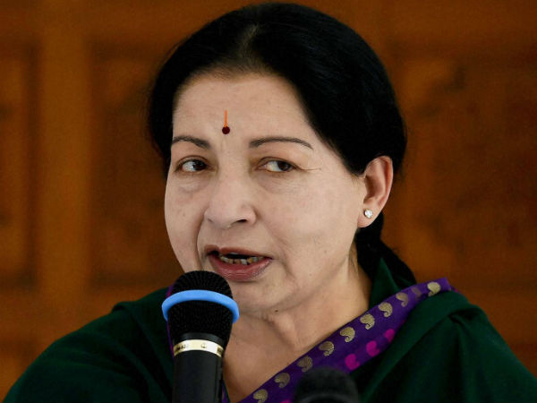 வெடித்த பட்டாசுகள்