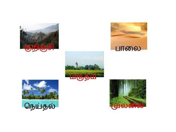 ஐவகை நிலம் கொண்ட தமிழ்நாடு