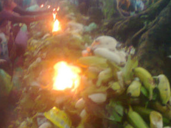 அதிமுகவினர் சிறப்பு பூஜை