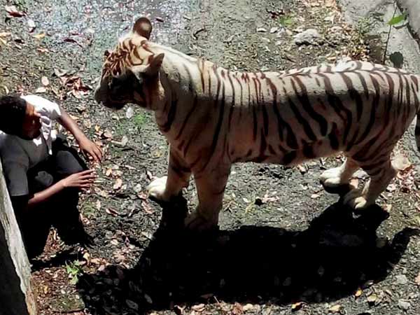 குற்றச்சாட்டு...