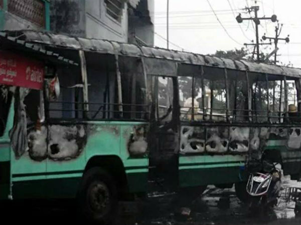 Madras HC orders govt to consider the demand of compensation Madras HC orders govt to consider the demand of compensation