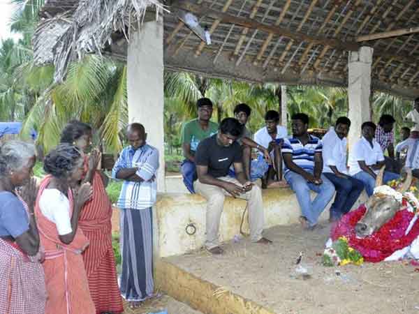 பல்லாயிரம் மக்கள் வேதனை
