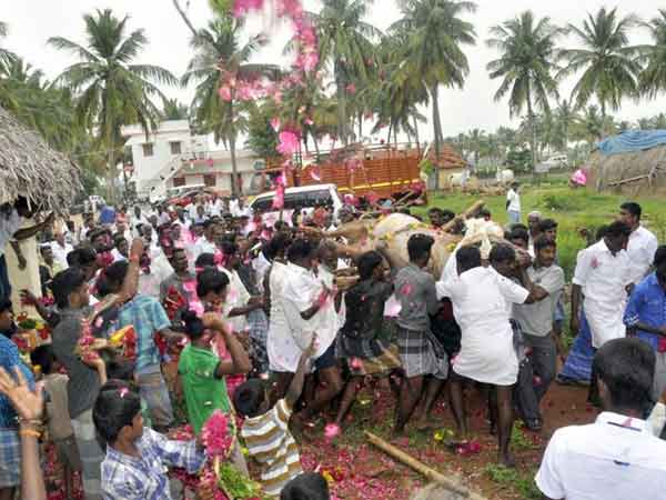 சீரும் சிறப்பாக வளர்த்து வந்த ராஜசேகர்